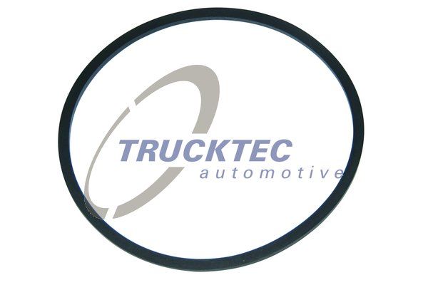 TRUCKTEC AUTOMOTIVE tarpiklis, degalų filtras 01.38.004